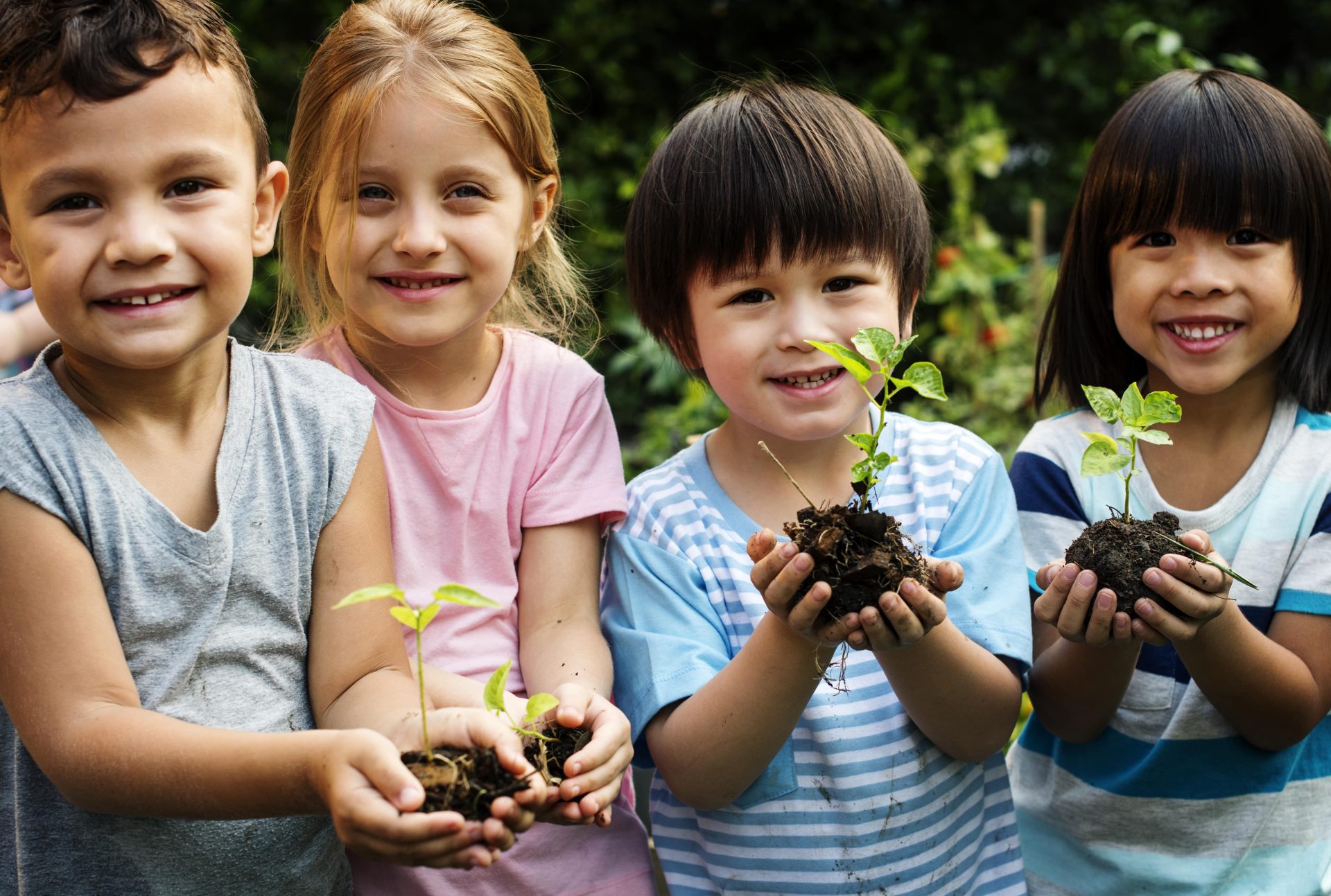 Kids plating trees at daycare
